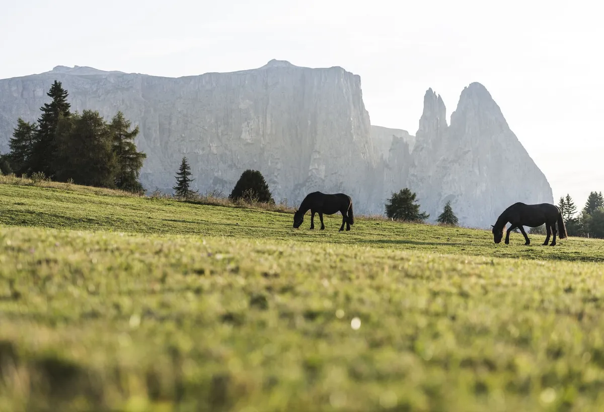 Wandern in den Dolomiten